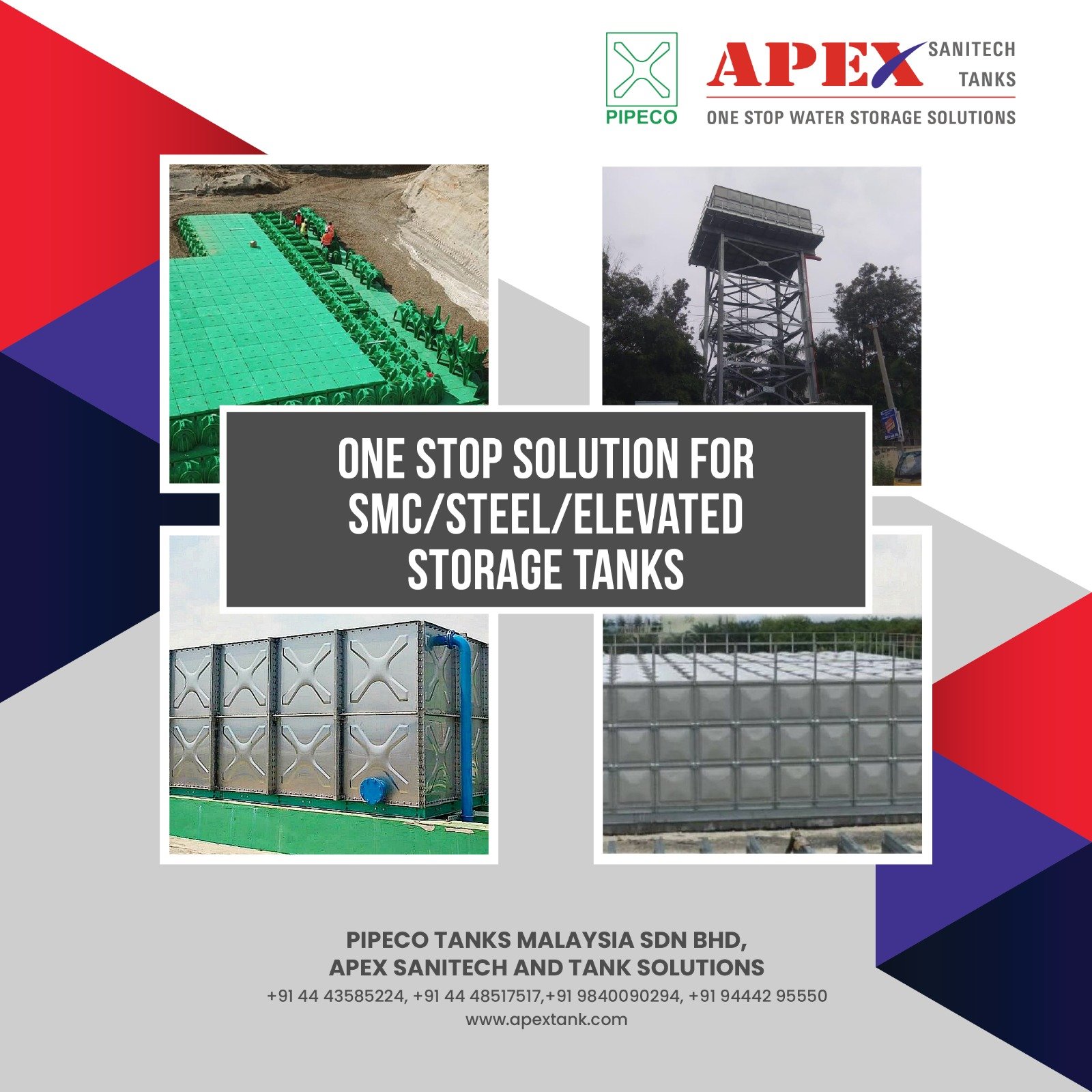 Professional Membership